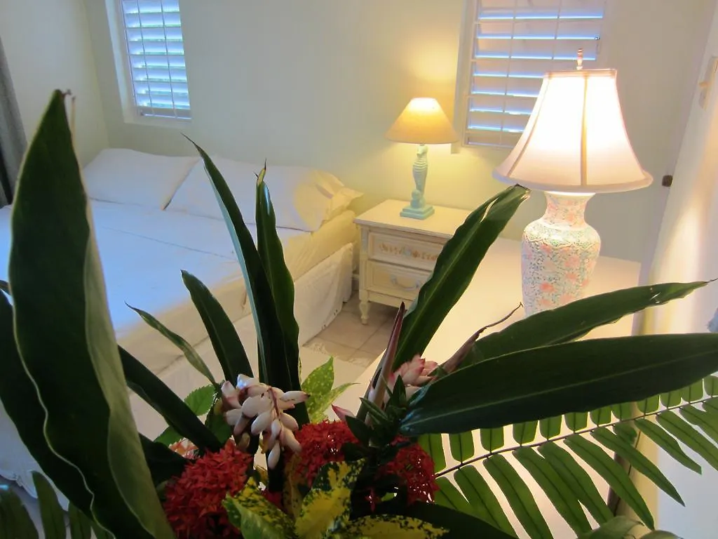 Country house Morning Glory Villas Saint Ann's Bay Jamaica