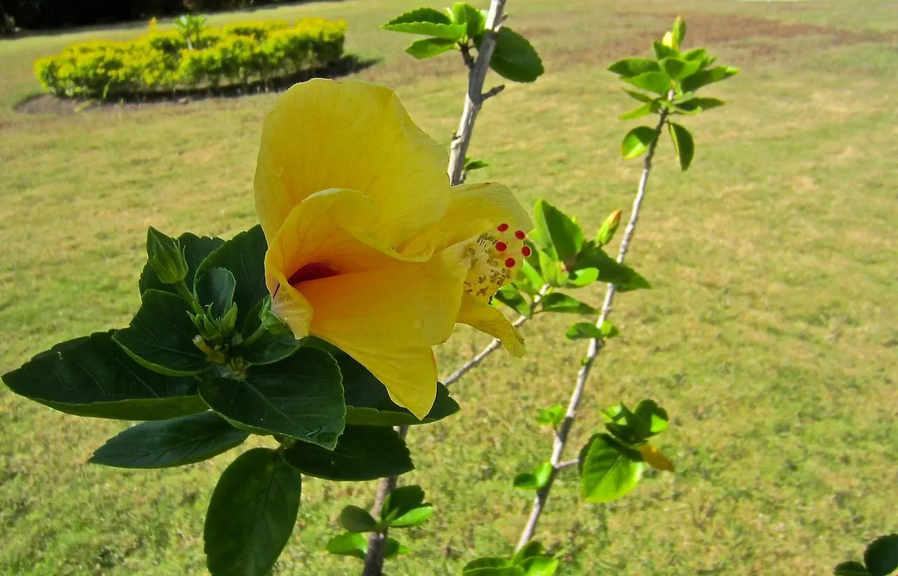 Country house Morning Glory Villas Saint Ann's Bay Jamaica