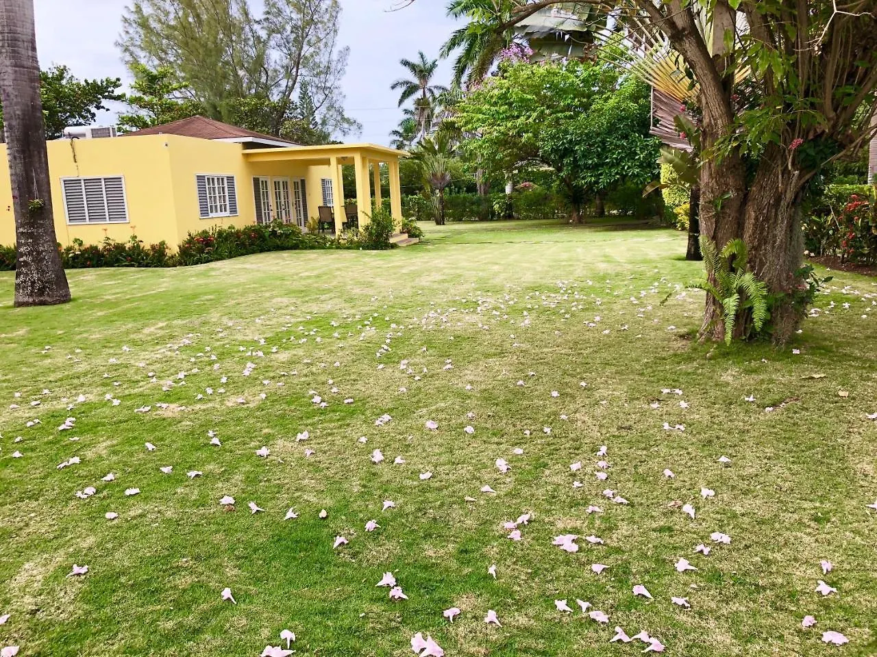 Morning Glory Villas Saint Annʼs Bay 0*,  Jamaica