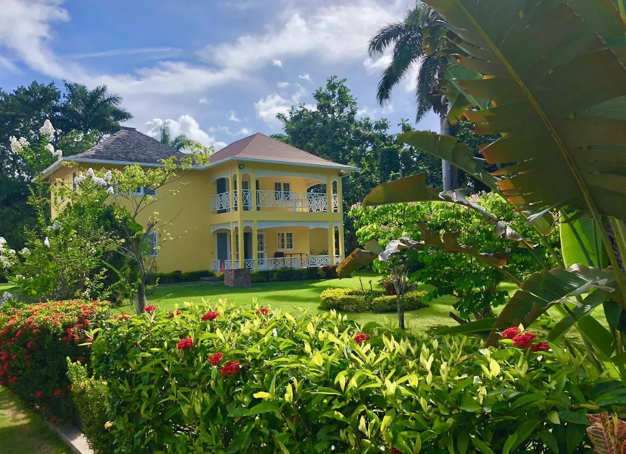 Morning Glory Villas Saint Ann's Bay