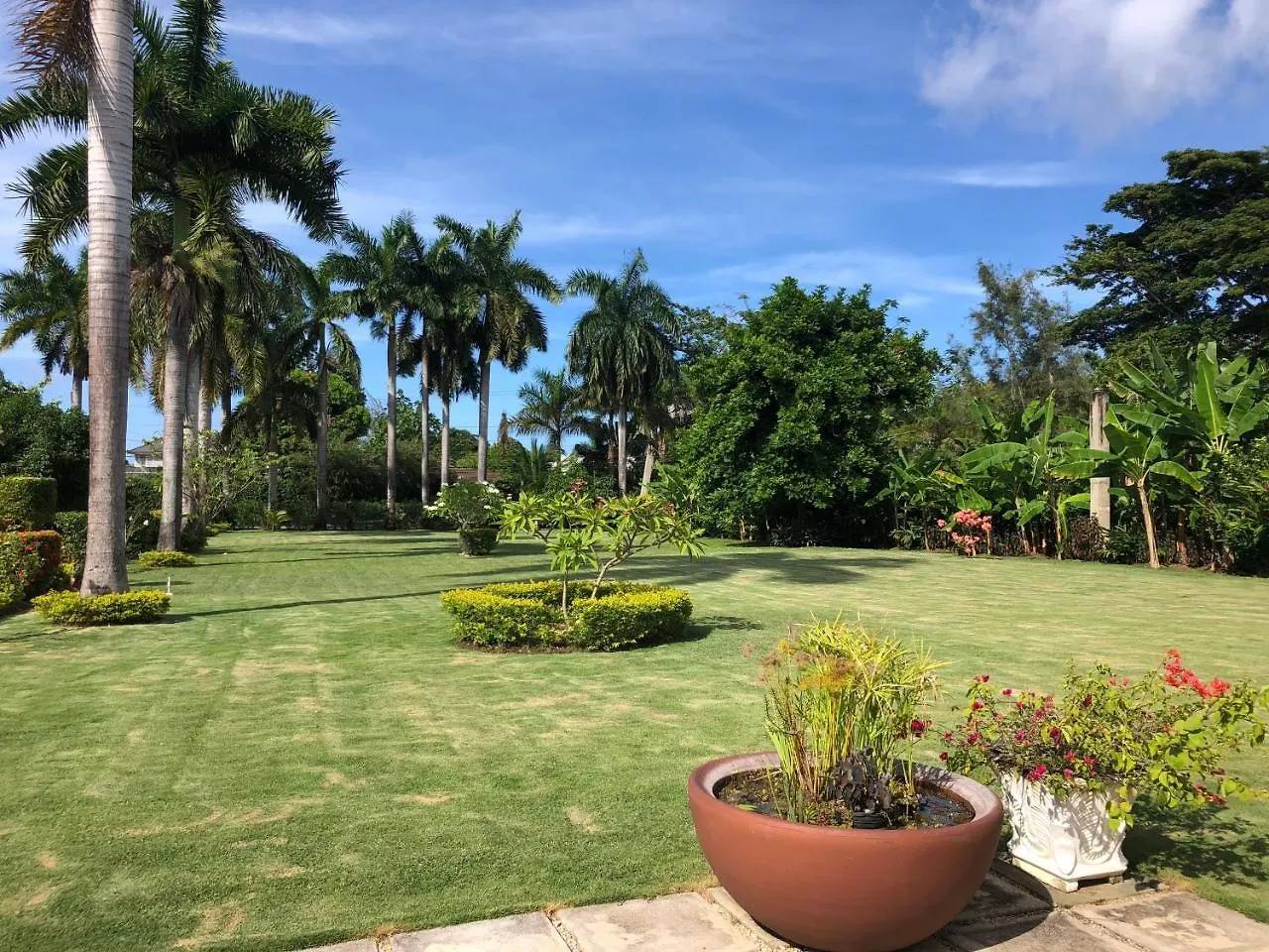 Morning Glory Villas Saint Ann's Bay