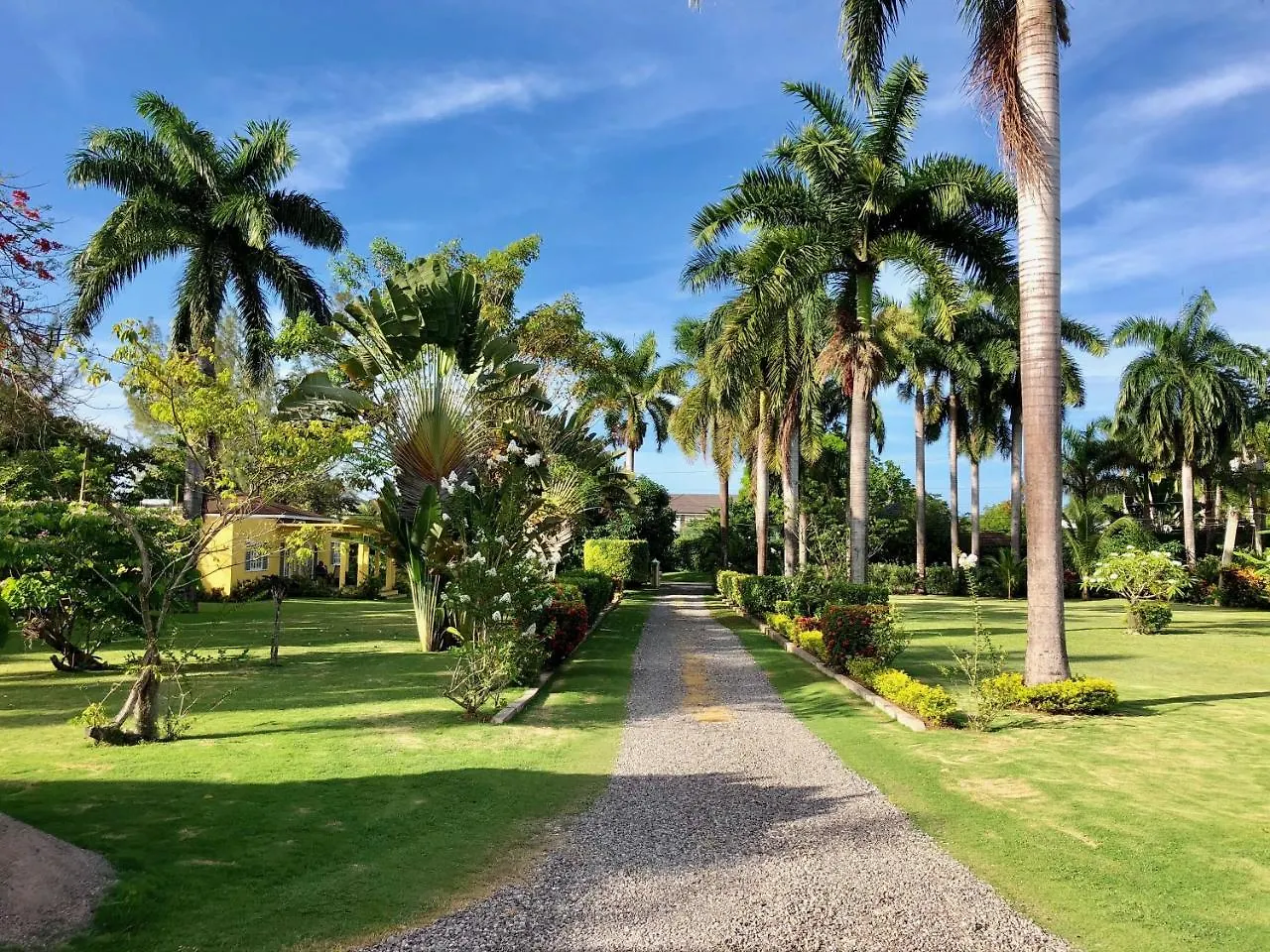 Country house Morning Glory Villas Saint Ann's Bay